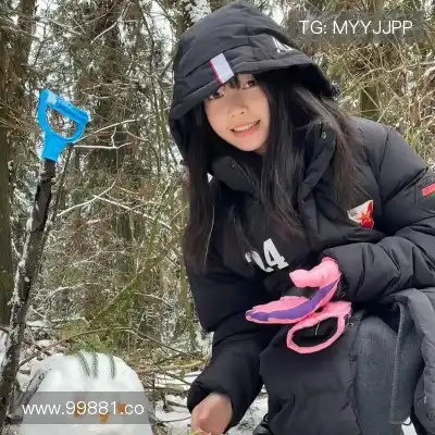 凤鲁庄